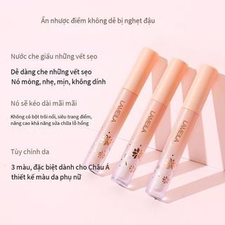 Apink Dark Eye Circle Face Foundation Hide Blemish Cream Concealing