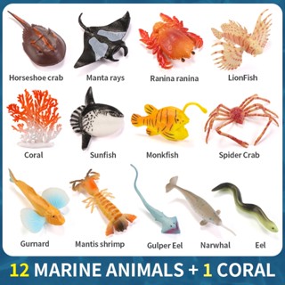 Mini Sea Life Cá Mập Cá Voi Chim Cánh Cụt Cá Heo Rùa Rays Bộ Mô Hình Đại Dương Động Vật Nhân Vật Hành Động Thu Nhỏ Đồ Chơi Giáo Dục