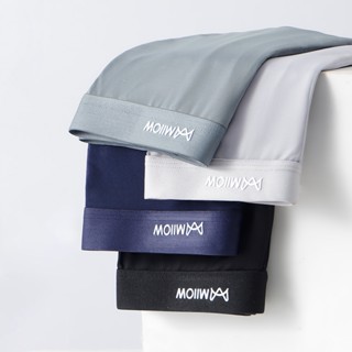 Cmenin 4 Ins Gợi Cảm Nam Quần Lót Người Boxer Quần Lót Thoải Mái Polyester Trong Suốt Thân Quần Lót Nam Bxoers Quần Short Cho Nam MW458