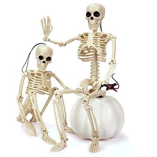 Bộ xương có thể đặt ra Trang trí Halloween Người đáng sợ Xương bữa tiệc đáng sợ