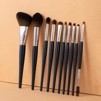 【OVW】10 chiếc Star Blue eye shadow Brush Bộ bàn chải có độ bóng cao ZH00001