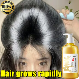 Dầu gội gừng chống rụng tóc dầu gội đầu mọc tóc thảo dược dưỡng sinh kiểm soát dầu loại bỏ gàu 500ML Phục hồi tóc hư tổn, Làm khỏe chân tóc, Giảm rụng tóc, Kích thích mọc tóc, Giải quyết vấn đề hói đầu