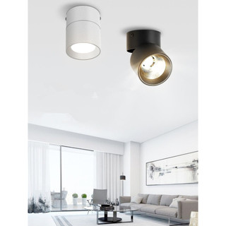 Đèn LED chiếu sáng, Đèn chiếu sáng góc xoay, Đèn trần tường nền lối đi trong nhà, Gắn bề mặt