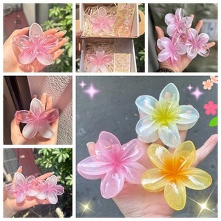 Sáng Tạo Bán Trong Suốt Hoa Tóc Ins Mới Màu Thạch Kẹp Tóc Bauhinia Hình Hoa Phụ Kiện Tóc Người Bạn Tặng Ảnh Đạo Cụ Cung Cấp