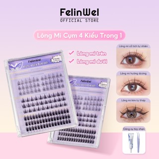 FelinWel - Nối Mi Giả Có Thể Tái Sử Dụng, 4 Kiểu, Cụm Trên Và Dưới, Dung Lượng Lớn 154 Miếng, 6Mm-12Mm, Bộ Dụng Cụ Tùy Chọn