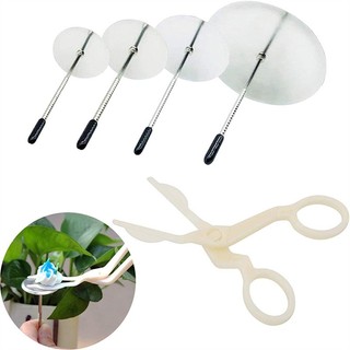 5 chốt gắn + kéo gắn, kéo gắn màu trắng