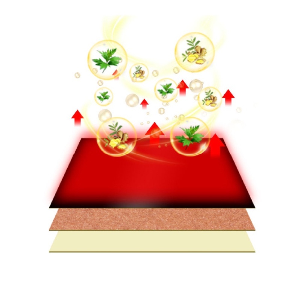 [Còn hàng] Hộp 100 miếng dán giảm đau gừng giúp giảm đau và vai PK Mugwort