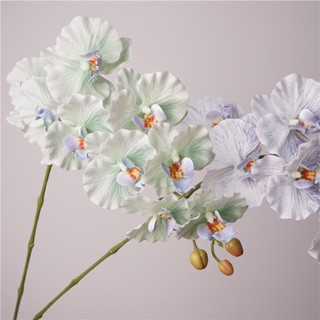 Hoa Nhân Tạo 9 Phalaenopsis Hoa Giả Đơn Phòng Khách Bàn Ăn Hoa Đồ Trang Trí Máy Tính Để Bàn Trang Trí Hoa Trang Trí