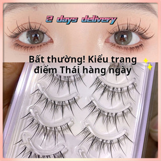 Lông mi giả 3D AIMEEORAN M08