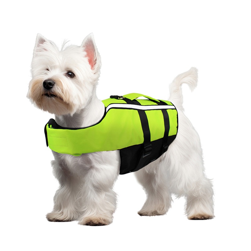 Áo phao cho chó bơm hơi cho chó nhỏ vừa lớn Thuyền áo bơi cho chó di động ngoài trời An toàn gấp đồ bơi cho chó