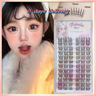 12 hàng 72 cụm móng vuốt mèo dành cho nữ với cụm đơn và móng vuốt mèo phân đoạn lông mi giả uốn cong ngọt ngào và mát mẻ