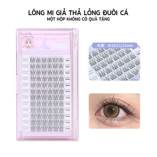 Lông mi đuôi cá Lông mi lười Cụm lông mi đơn