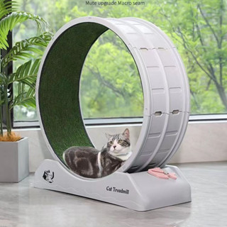 Bánh xe tập thể dục cho mèo Thiết kế tắt tiếng đa năng Tập làm giảm sự lo lắng máy chạy bộ dành trong nhà