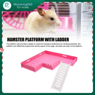  Hamster Nền Tảng Tập Thể Dục An Toàn Đồ Chơi Nhựa Đứng Có Thang Cho Chuột Lang Chinchilla Lồng【Wyoming060  