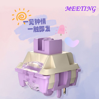 Công tắc họp Tường chống bụi có hướng dẫn tích hợp Đèn Thích hợp cho bàn phím cơ chơi game có thể hoán đổi nóng Nhà máy Kem bôi trơn sẵn Switch HIFI Sound 40g MX Switch