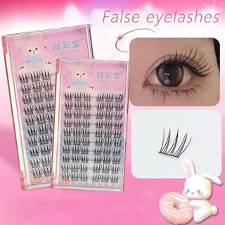 Nhóm Nữ Phong Cách Mèo Móng Vuốt Hoa Hướng Dương Lông Mi Giả Nữ Siêu Nhiên Dung Tích Lớn 10 Hàng Dày Phân Đoạn Ba Phần