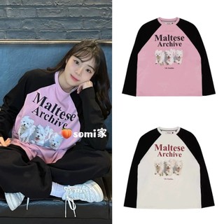 Áo thun UNISEX phong cách Hàn Quốc oversize dáng rộng áo thun dài tay dễ thương Màu sắc phù hợp với áo sơ mi dạo phố cho nam và nữ Hottrend 2024