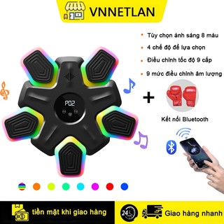 Nhạc sĩ Boxer Nhạc sĩ Boxer Nhạc sĩ Boxer Nhạc sĩ Boxer