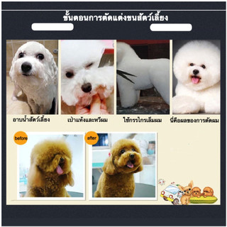 Lược chải lông thú cưng chuyên dụng