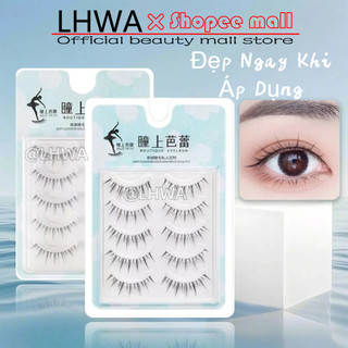 Bộ 5 cặp lông mi giả lhwa mềm tự nhiên nhiều kiểu mi gân trong mềm mỏng siêu nhẹ cong tự nhiên