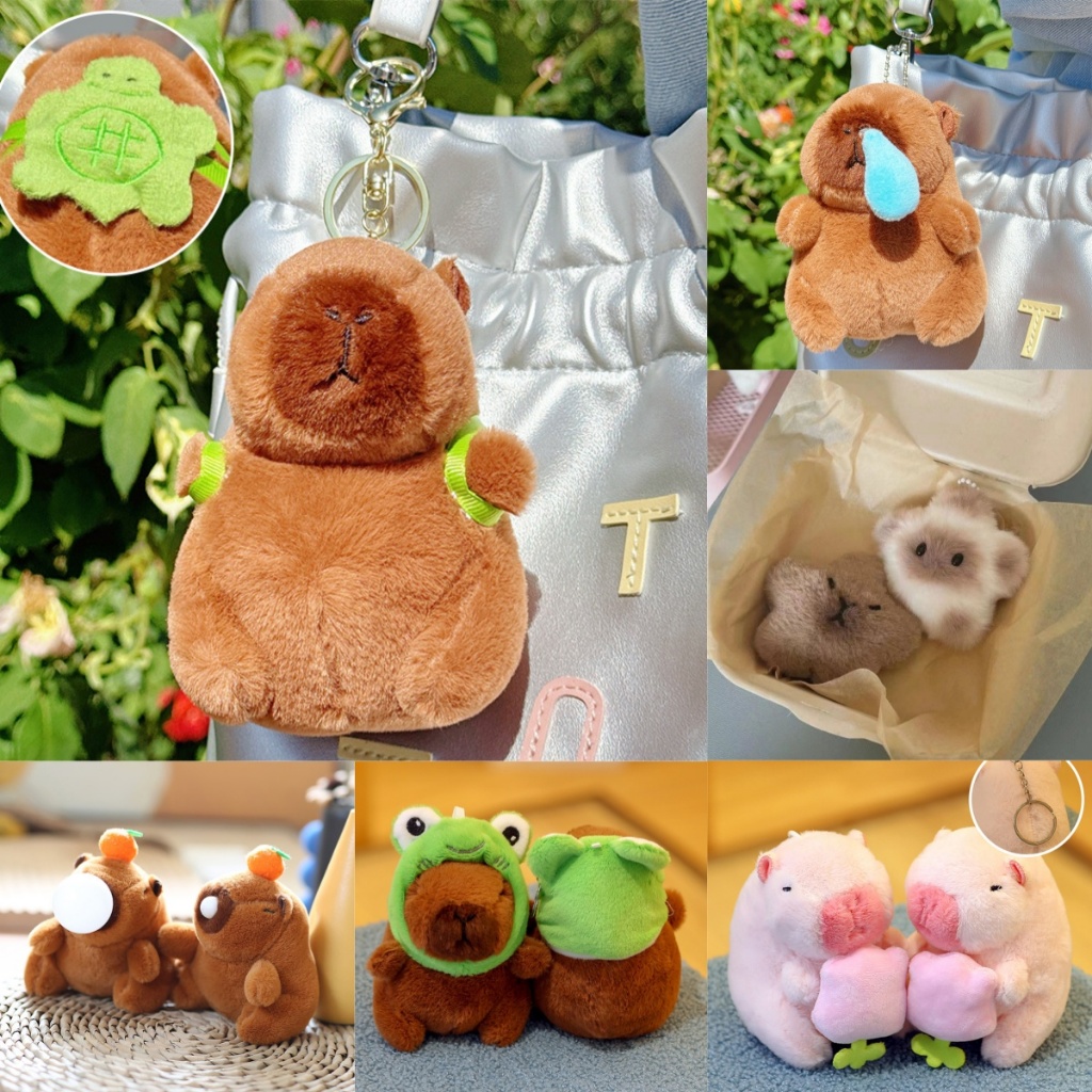 [Wonderiy] Móc khóa Capybara Ngáy sang trọng Capybara dễ thương có túi rùa Móc khóa Búp bê sáng tạo Đồ chơi nhồi bông mềm mại Quà tặng sinh nhật VN