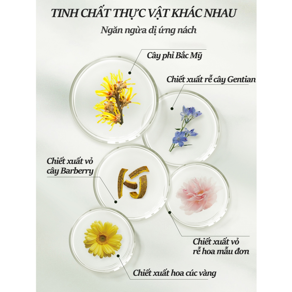 cn 11134207 7r98o lyys22k4bbmqdb