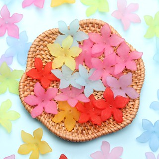 Set 20 Hạt Xỏ Lỗ Hình Hoa Bauhinia Bằng Acrylic Dùng Để Làm Trang Sức Thời Trang