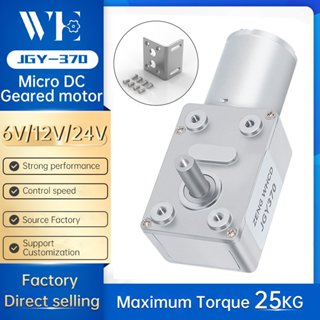 Động cơ DC Worm Gear JGY370 Bàn chải giảm động cơ 6V 12V 24V Bánh răng kim loại Wth Động cơ tự khóa