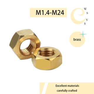 [Wsys]Tán Dẹp,Tán Ecu,Đai Ốc Tán,Tán Dẹp lục giác bằng đồng thau (M1.4-M24 LM)