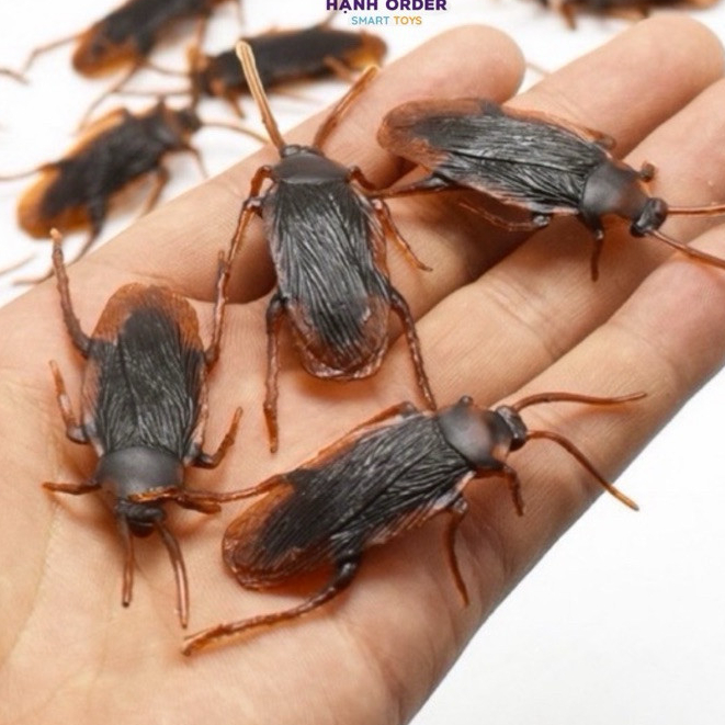 💕Dy💕[ Rẻ Vô Địch ] Côn Trùng Giả ⚡ HÀNG ĐẸP ⚡ Gián, Rết, Bọ Cạp, Thạch Sùng, Nhện, Kiến, Ruồi Bằng Nhựa, Nhìn Như Thật.  Con dán
