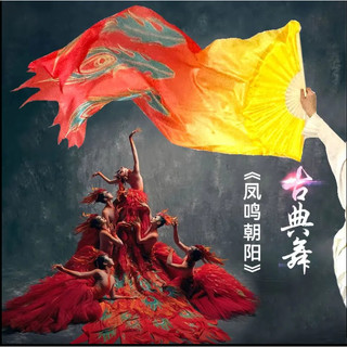 1 Quạt Khiêu Vũ Quạt Dài Cổ Điển Khiêu Vũ Hiệu Suất Chống Đỡ Phong Cách Trung Hoa Quạt Dày Dài