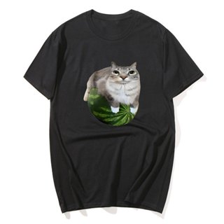 Áo thun hình mèo dưa hấu Silly Cat Meme Áo sơ mi in hình dưa hấu sang trọng là áo Unisex sành điệu cho cả nam và nữ