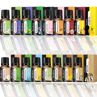 Dầu thơm hỗn hợp tinh dầu tự nhiên hòa tan trong nước cho máy khuếch tán hương thơm Máy tạo độ ẩm không khí đầu đốt dầu thơm Dầu tạo độ ẩm 10ml