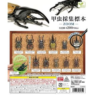 Gashapon Hộp Bí Ẩn Mô Phỏng Cánh Cứng Kỳ Lân Cánh Cứng Mô Hình Mẫu Côn Trùng Đồ Trang Trí Mặt Dây Chuyền Quà Tặng Cảnh Quan Thu Nhỏ