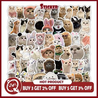 60 Chiếc Mèo Vui Nhộn MEME Hoạt Hình Dễ Thương Dán Đồ Chơi Văn Phòng Phẩm Đàn Guitar Xe Đạp Laptop DIY Dán
