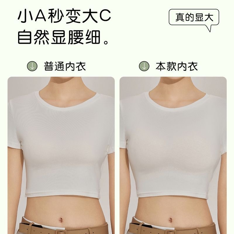 Miếng đệm ngực dày 4cm Áo Ngực Nữ Có Gọng Độn Ngực Hình Nơ  Xinh, Chất  Co Dãn Cao Cấp Siêu Hot | BigBuy360 - bigbuy360.vn