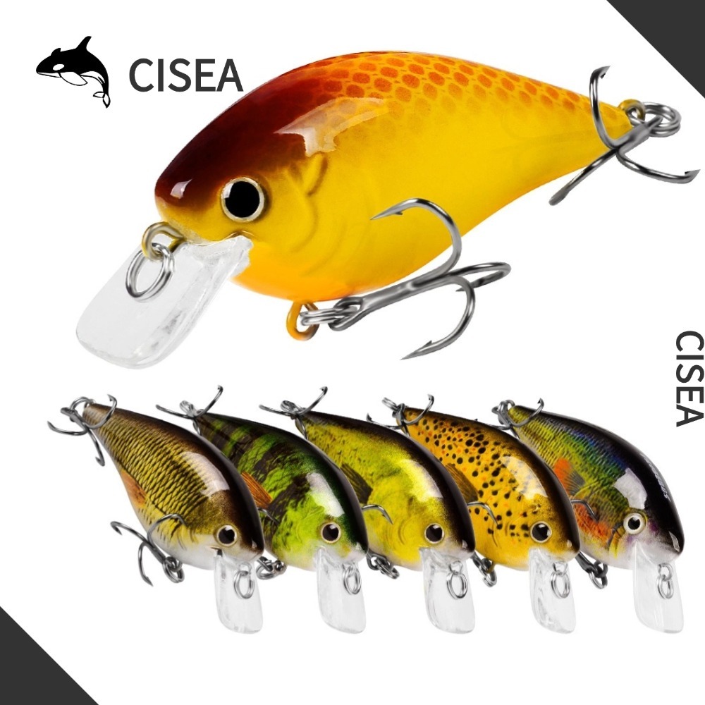 CÁ CISEA F109 13G 7CM