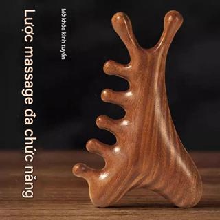 Lược Massage Gỗ Đàn Hương 4 Trong 1 Cơ Thể Da Đầu Kinh Tuyến Lược Chống Tĩnh Điện Đầu Rộng Massage Lược Đa Năng Đầu Máy Mát Xa Mặt Gua Sha Mũi Cạp Rụng TócTherapy