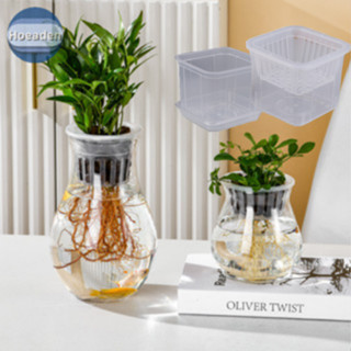 Hoeaden Mini Chậu Hoa Cá Nhựa Trong Suốt Không Đất Chậu Cây Tự Tưới Cây Chậu Bình Trang Trí Nhà VN