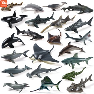  Các bức tượng mô hình động vật biển đại dương: Toppers bánh thực tế với cá mập cá voi tuyệt vời cho các bữa tiệc của trẻ em Quà tặng & Dự án trường học Đồ chơi giáo dục cho trẻ em 