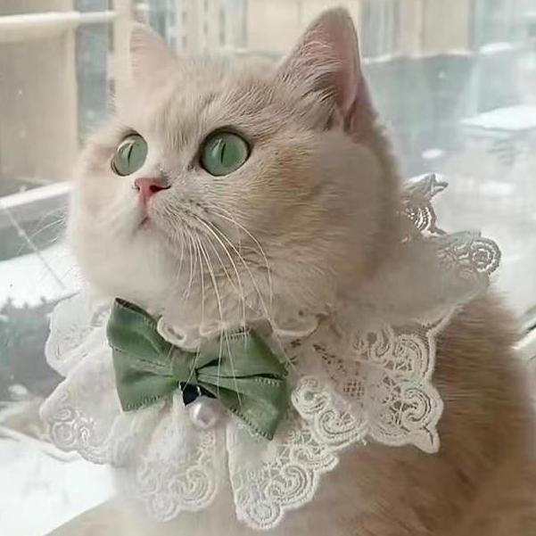 Dễ thương Pet Scarf Cat Bow Tie Công chúa gió Pet Collar Mèo ren Bow Tie Pet Bell Necklace Chó cổ áo