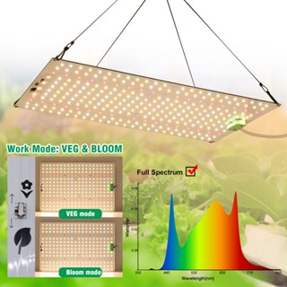Đèn LED Trồng Cây LM281B toàn phổ lượng tử chip UV&IR 650W1500W chiếu sáng tăng trưởng cây trồng thuỷ canh cho nhà kính