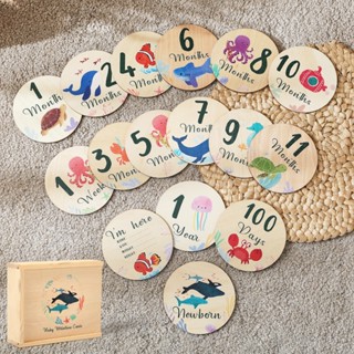 8 Cái / bộ Hai Mặt Gỗ Cột Mốc Sơ Sinh Sinh Hàng Tháng Cột Mốc Kỷ Niệm Thẻ Tập Đi Phụ Kiện Chụp Ảnh