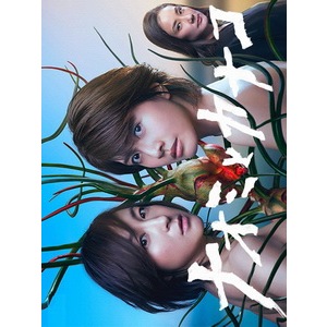 [BD Blu-ray Phim truyền hình Nhật Bản] Naomi và Kanako (Naomi và Kanako) (2016)