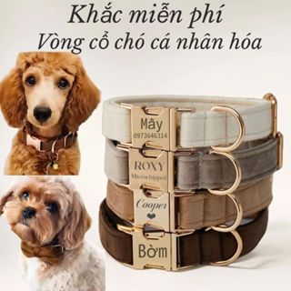 Nhung Cá Tính Cổ Chó Nhiều Màu Cổ Chó Khắc Biển Tên Thú Cưng Miễn Phí Khắc Cổ Chó Có Tên Đám Cưới Chó Con Quà Tặng Miễn Phí Thẻ Thú Cưng