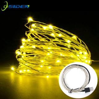 Đèn LED dây USB Licer 8 chế độ Làm mờ 5M / 10M / 20M Dây đồng Đèn cổ tích