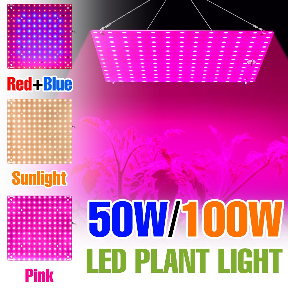 100W Full Spectrum LED Grow Light 85-265V Hệ thống thủy canh trong nhà Đèn thực vật 50W Lều nhà kính