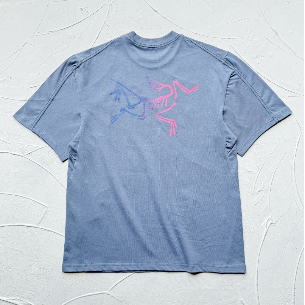 Áo thun Cotton ArcTeryx Kragg