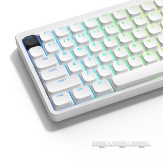 Womier Low Profile Shine Through 143 Phím BOW PBT Double Shot Keycaps cho 60% 75% 80% 85% 100% MX Switch Bàn phím cơ