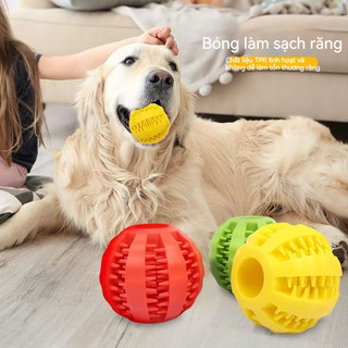 Bóng làm sạch răng cho chó Bóng đựng đồ ăn TPR chịu cắn giải trí cho chó nhỏ trung lớn giảm gặm phá